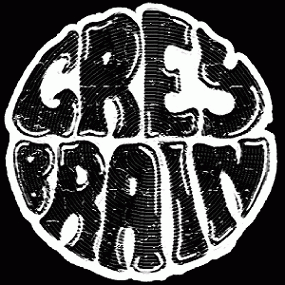 logo Grey Brain logo Grey Brain